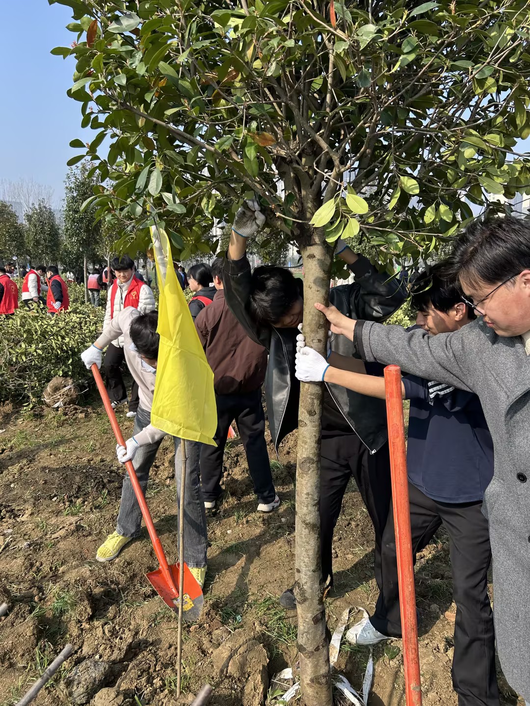 85bcaa53-0782-4490-8970-ccf0df5892b1